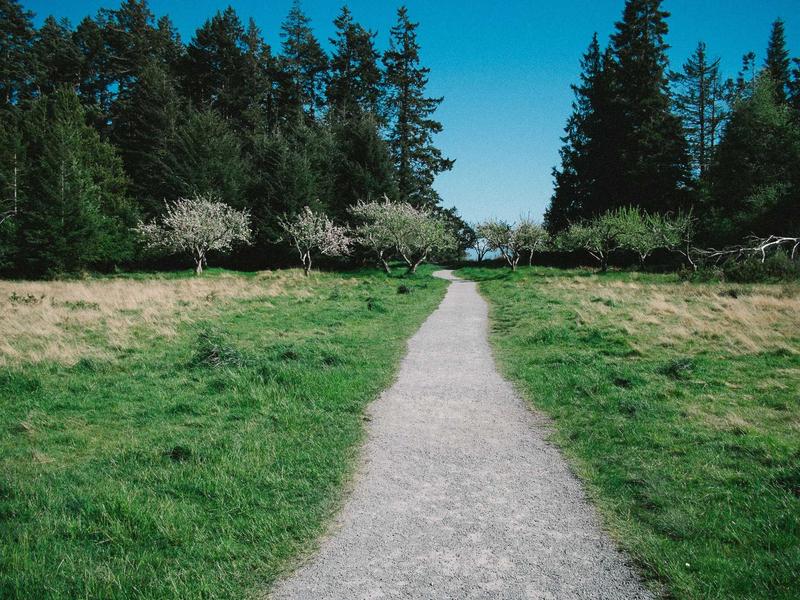 混沌理论<br>sybmuzg.cn 奇异吸引子